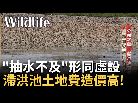 \大型滯洪設施\被視為治水新解方! 落點不佳.多蓋中下游 耗時費力! 都市計畫法申請變更.送交審議 就要花上2到3年 造價土地費更高達9億｜【Wildlife】20240604｜三立新聞台