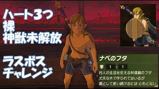 【ブレワイ】神獣に行かずにラスボスと戦ってみた【縛りプレイ】