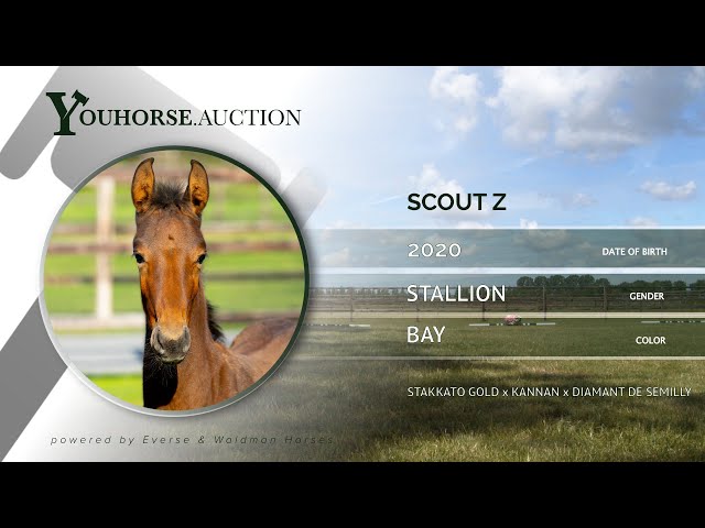 Scout Z