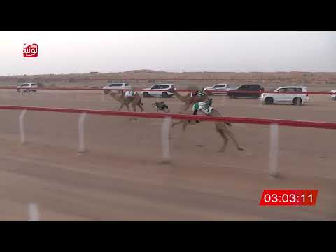 ش 1 (ترف) لـ حمد سعيد بالكيلة العامري 6:28 ، شارة الشيخ طحنون 2026/8/22 حقايق الجبيب