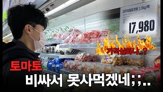 요즘 토마토 값이 비싼 이유