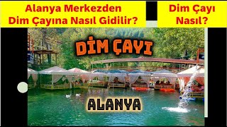 ALANYA Dim Çayına Nasıl Gidilir?// Piknik alanları nasıl?
