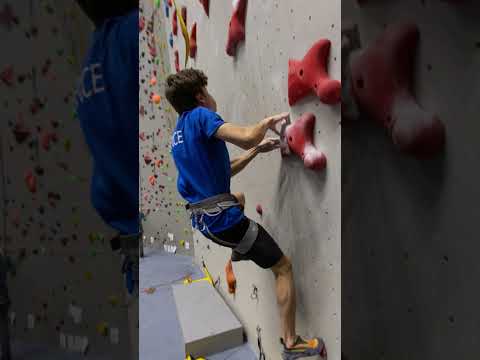 Tournefeuille s'engage dans l'aventure olympique : focus sur Tournefeuille Atltitude Grimpe