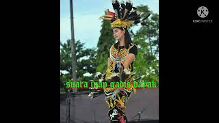 Download lagu suara inap gadis kenyah mp3 Download lagu suara inap gadis kenyah mp3