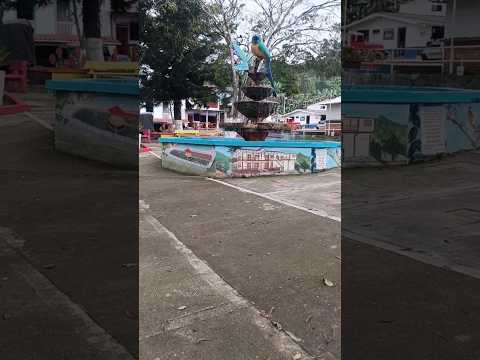 desde andinapolis valle corregimiento del municipio de Trujillo valle del cauca