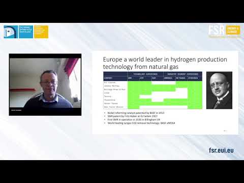 Online Workshop | The case for Steam Methane Reforming and CCS