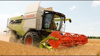 【2021】CLAAS LEXION 6600＆5400 小麦収穫 wheat harvest