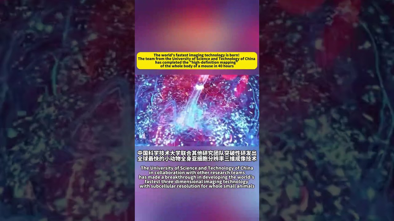 World's fastest imaging tech! USTC team mapped a mouse's whole body in 40 hours.