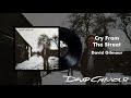 David Gilmour - Cry From The Street (Official Audio)