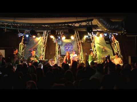 Rocksuli 2013 február 08 Roncs - Who Knew (Pink) cover