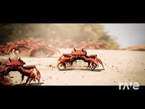 Crab Танец Арам Rave Зам - Noisestorm & Дискотека Авария | RaveDJ