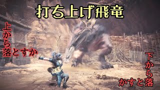【MHW】密着！モンスターハンター撃墜24時!!!
