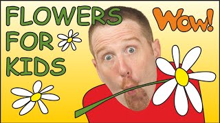 Flowers for Kids | Picture from Steve and Maggie for Children