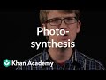 Photosynthesis | Crash Course biology | Khan Academy