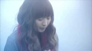 Salley / 冬が来る ミュージックビデオ(Short ver.)