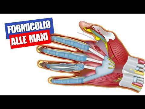 3 ESERCIZI PER IL FORMICOLIO ALLE MANI
