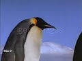 Gettyimages 354 9 640 Adpp
