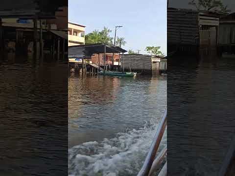 são Sebastião da boa vista #paisagemnatural #ilham #marajó #viral #naturezasurpreendente