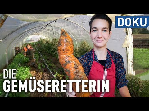 Noble spreads from crooked carrots | documentary