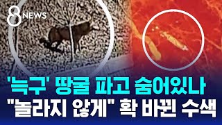 '늑구' 땅굴 파고 숨었나..놀라게 하지마라 확 바뀐 수색법 / SBS 8뉴스