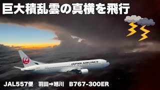 巨大積乱雲の真横をフライト　JAL557便　羽田→旭川　B767-300ER JA655J