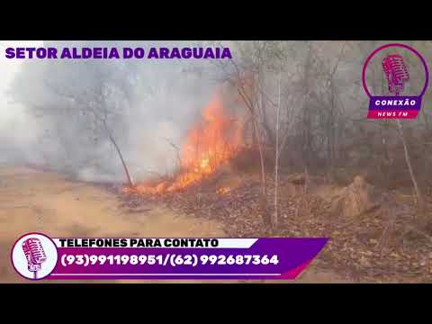 Grande queimada em Aruanã na região do setor Aldeia do Araguaia