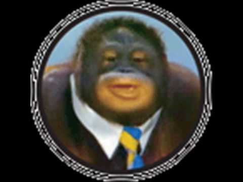 download lagu mp3 mp4 Jaap Duin, download lagu Jaap Duin gratis, unduh video klip Jaap Duin