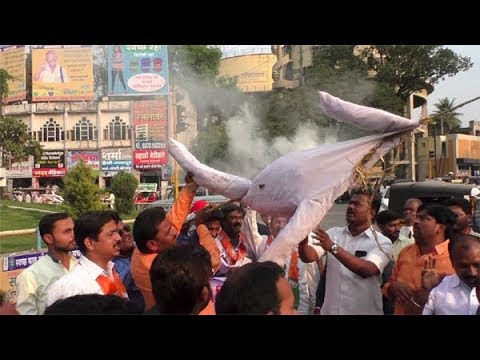 धनंजय मुंडेंच्या पुतळ्याचं भाजपनं केलं दहन