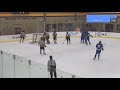 Lawrence Tech Hockey vs Adrian 10/24/21 Highlights