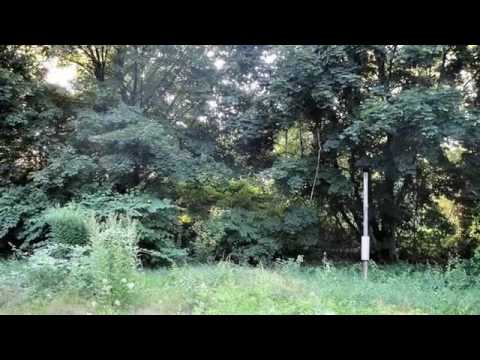 47 Pilgrim Path, Wayland, MA - Listed by Kathy Kessel