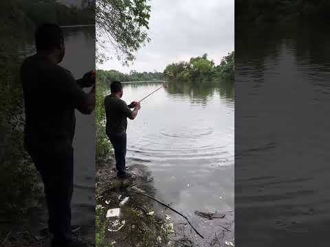 Una captura inesperada