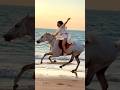 Beach Ride Dubai Horsebackriding Dubailife Horse Horselover Dubai Beach Horseride