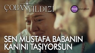 Çoban Yıldızı  -  Sen Mustafa Baba'nın Kanını Taşıyorsun