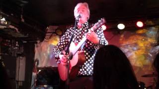 robyn hitchcock - "my wife and my dead wife" 12/31/15 toronto horseshoe