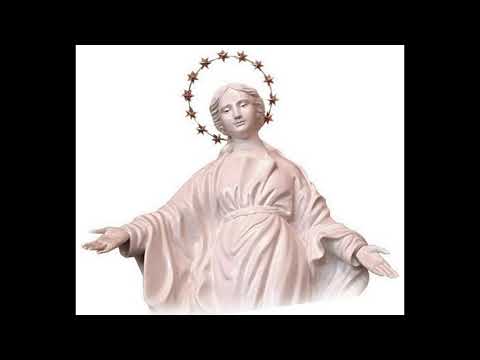 Servo E Senhor video