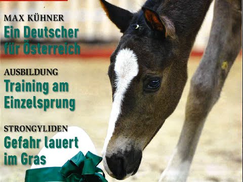 PferdeSport international 08 * Embryotransfer * Max Kühner *Strongyliden
