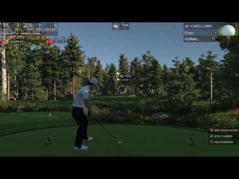 SwingCast Cup HIO