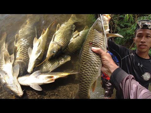 SE03EP056 Part 1 - SUPER INTENSE! UMAATIKABONG BAKBAKAN sa MGA KARPA | San Pablo City, Laguna