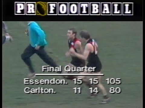 1986 Round 17 - Essendon v Carlton (ProFootball)