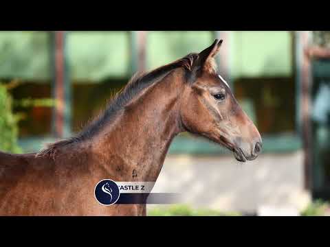 Claudius OF Newcastle Z