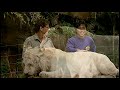 The Mandarin Wiggles Danny In Australia Without Subtitles