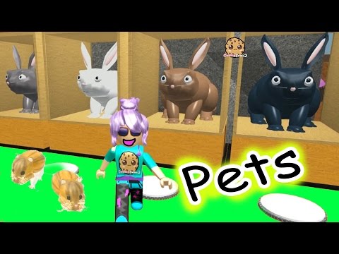 Hamsters In The House Roblox Animal House Pets Online Game Let S Play Random Fun Video - roblox donut maker factory tycoon cookieswirlc let s play online