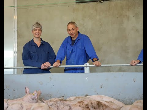 , title : 'Nieuwe varkensstal familie Krüs bevat unieke snufjes'