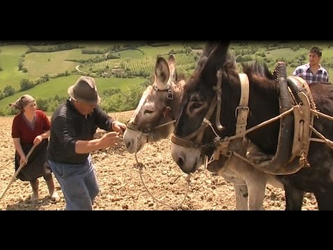 Acquevive di Frosolone, per vivere il mondo agreste insieme a Luigi Di Maria