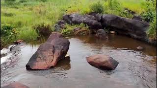 OS JUDEUS VAI PERDER A GERRA PORQUE ESTÁ NA IDOLATRIA 