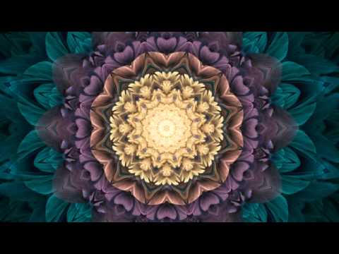 Eu sou o Santo Daime - Hinário Flores de São João - Cristina Tati | escolacosmica.app.br