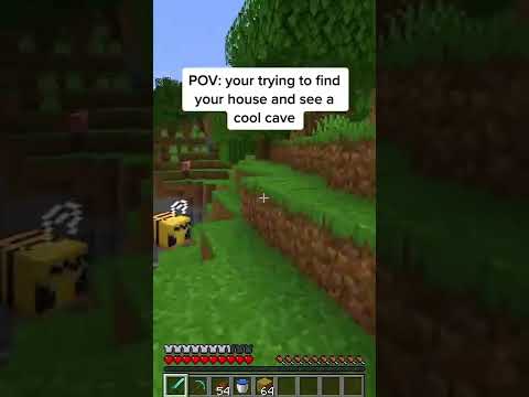 Panda×Sin Minecraft: Epic Cave Exploration
