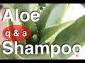 Homemade Aloe Vera Shampoo Q&A: Lather, Oil ...