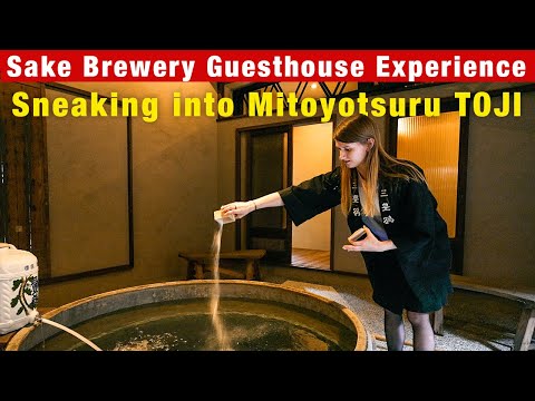 Sake Brewery Guesthouse ExperienceSneaking into Mitoyotsuru TOJI