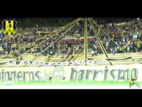 "Avalancha Sur  ðŸ’›ðŸ–¤// Vamos aurinegro que esta noche tenemos que ganarðŸŽ·ðŸ¥" Barra: Avalancha Sur &bull; Club: Deportivo Táchira
